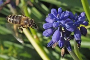 Concours photos sur le thème de la nature & l’inattendu !