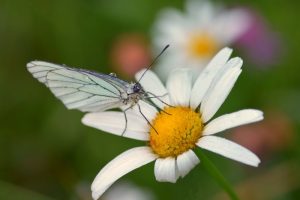 Concours photos sur le thème de la nature & l’inattendu !