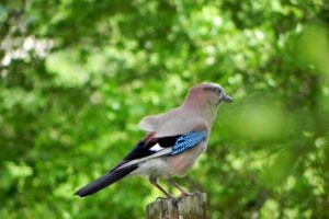 Concours photos sur le thème de la nature & l’inattendu !