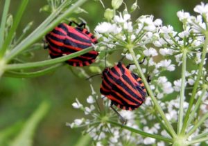 Concours photos sur le thème de la nature & l’inattendu !