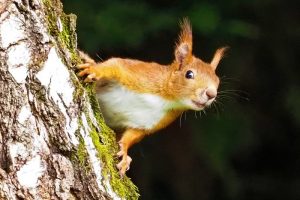 Concours photos sur le thème de la nature & l’inattendu !