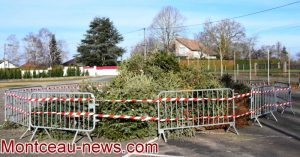 CUCM : Broyage des sapins de Noël