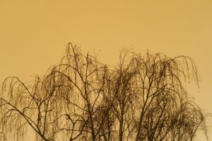Nos lecteurs ont toujours le bon reflex(e)