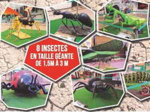 Dans la galerie du centre Leclerc