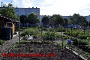 Soutenir les projets de jardins partagés et d’agriculture urbaine