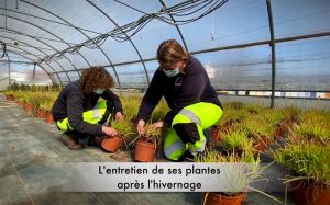 Conseils et Astuces en vidéo
