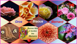 Bonne fête des Mères