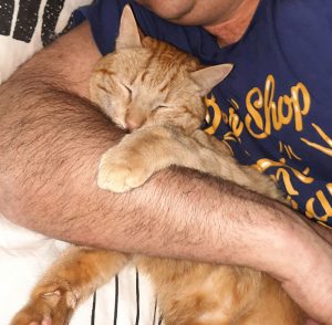 Chat perdu à Montceau