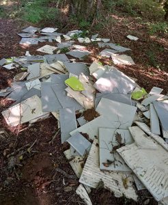 “Pauvre environnement”
