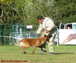 Montceau : Educ Sport Canin Montcellien