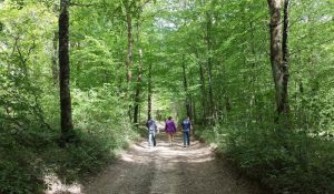 Le comité des fêtes de Pouilloux organise une marche