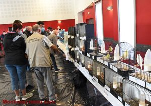 Sanvignes : l’association AOCM