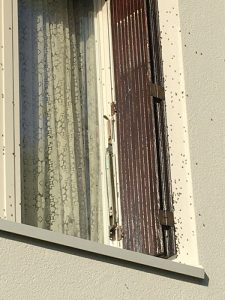 Un lecteur a besoin de vous