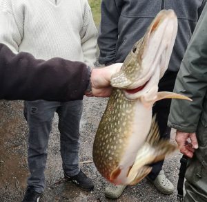 Montceau : La Gaule Montcellienne