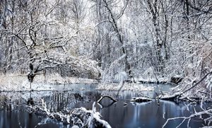 Montceau : Nettoyage citoyen d&rsquo;hiver