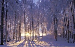 Montceau : Nettoyage citoyen  d’hiver – Episode 2