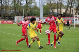 LE FCMB accroche les lionceaux