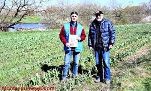 Montceau-les-Mines : Tulipes contre le cancer