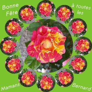 Bonne fête des Mères