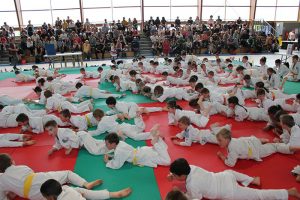 Alliance Dojo 71