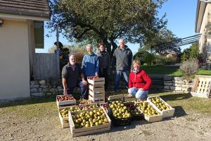 Ecureuils du panier (Montceau)