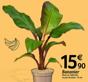 Dans votre magasin Villaverde (Montceau – Gourdon)