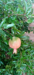 Nos lecteurs ont toujours le bon reflex(e)