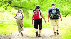 Mary-Mont Saint-Vincent : la marche des Mûrons