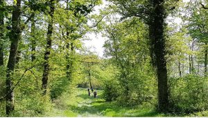 Marche de la rentrée à Pouilloux