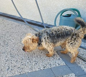 Trouvés à Sanvignes