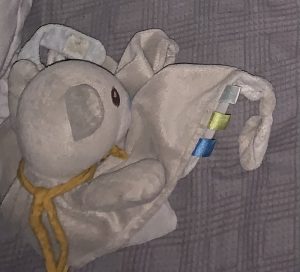 Doudou perdu à Montceau