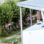 lycee-rose-14102210
