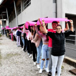 lycee-rose-14102213