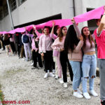 lycee-rose-14102214