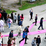 lycee-rose-1410222