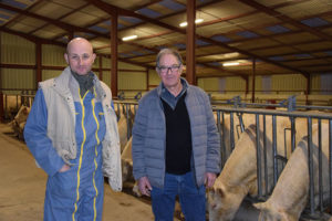 Festival du Bœuf à Charolles