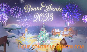 Section locale « Ligue Contre Le Cancer »