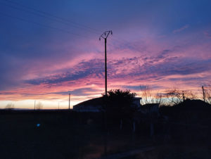 Nos lecteurs ont toujours le bon reflex(e)