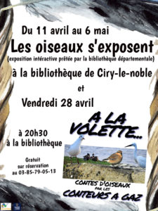 Les oiseaux s’exposent à la bibliothèque de Ciry-le-Noble