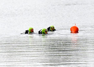 Faits divers