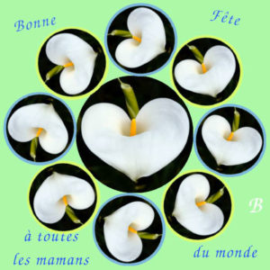 Bonne fête des Mères