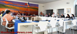 Saint-Vallier : Conseil municipal