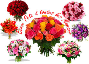 Bonne Fête des Mères