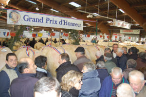 Festival du Bœuf les 2 et 3 décembre