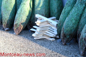 Saint-Vallier : Association les p’tits goujons