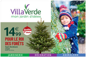 Les Sapins de Noël à Villaverde (Montceau – Gourdon)