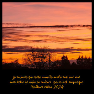 Voeux 2024