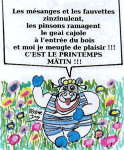 La pensée de la Joyeuse du lundi