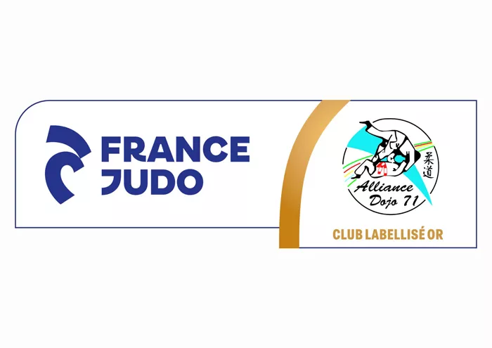 ad-judo-2908244