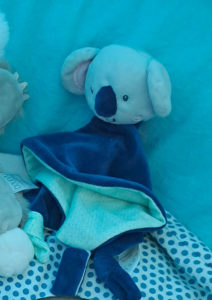 Doudou perdu à Blanzy